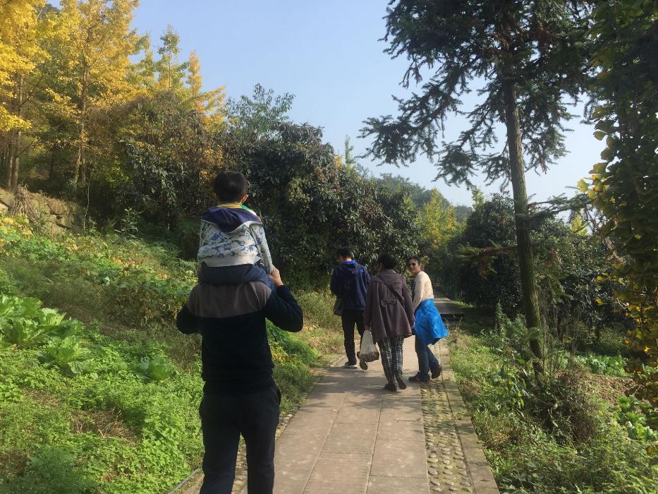 澳洲幸运10