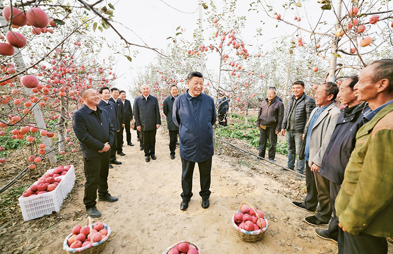 澳洲幸运10