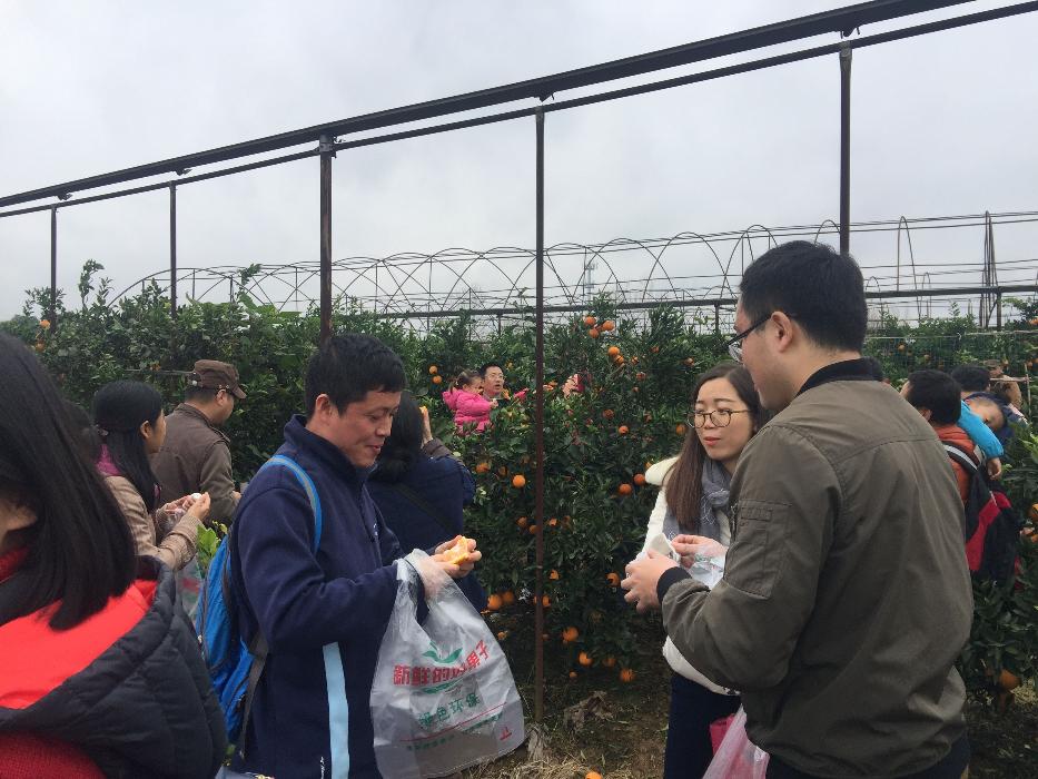 澳洲幸运10