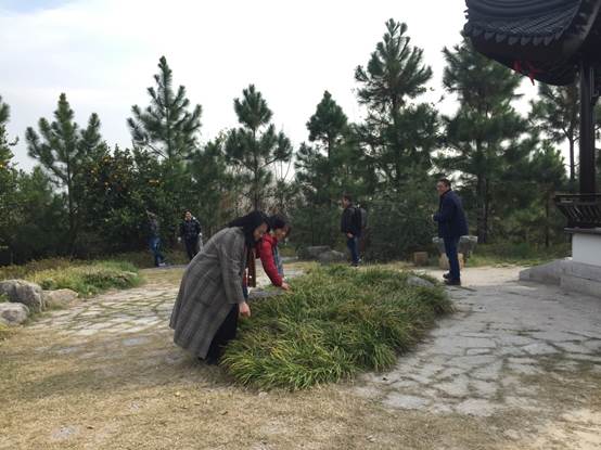 澳洲幸运10
