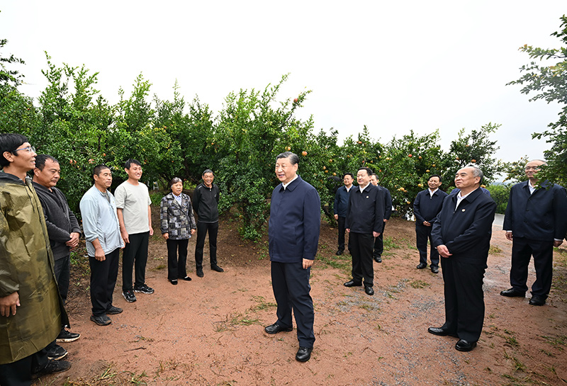 澳洲幸运10
